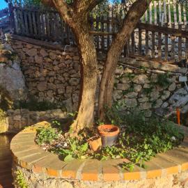 Guest house dei nonni