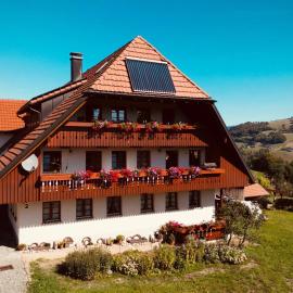 Annas Schwarzwaldstube, hotel a Fröhnd
