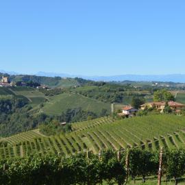 Agriturismo La Ruota, hotel v destinaci Montelupo Albese