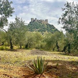 Casa Caraza, Finca privada a los pies de un espectacular castillo