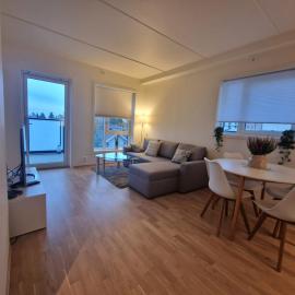 Mordern Apartment near Train, Shopping and Airport