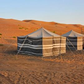 Palm Shade Camp, מלון בAl Wāşil