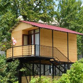 Cottage house