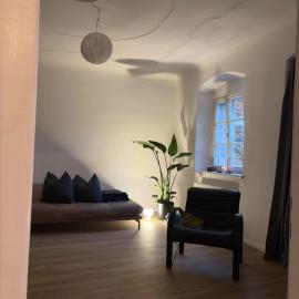 KAI7 Design Apartment Steyr - Old Town, New Vibe