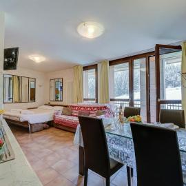 La Marmotta Ski in/ski out - Studio with Terrace - Happy Rentals
