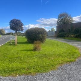 Hally's Farm