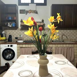 Sea Living Sicilia Apartment, hotel a Santa Flavia