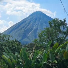 Flora Glamping de Abuela