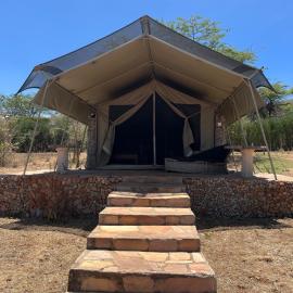 Samara Wild Camp
