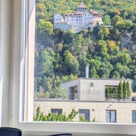 Vaduz Castle View Apartment in City Center with balcony and parking