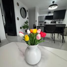 Brand New Luxe Apartment 1, hotell sihtkohas Carolina