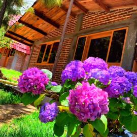 Cabañas Recor