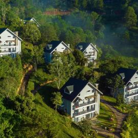 Lavender Dalat Resort & Glamping