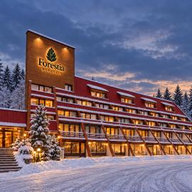 Hotel Forestia