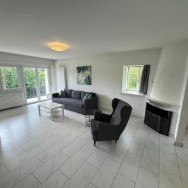 Lake view 4 and half rooms close to Zurich city with parking