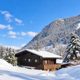 Chalet Bergzeit
