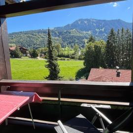Ferienwohnung Grüntenausblick Bergblick & 2 Balkone im Allgäu, Hotel in Rettenberg