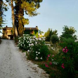 Poggio Un Altro Mondo