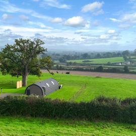 Firtree Farm Lodges, hotel in Yeovil