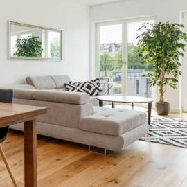 Modern and Spacious City home