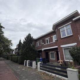 Paradise in Rijswijk - The Hague