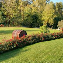 Agriturismo Mariotti Vite Maritata, hotel en Calcinelli