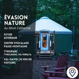 Spacious Yurt in the Woods