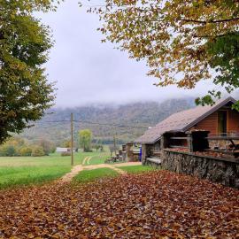Liko Diko holiday home - peaceful wellness retreat in nature