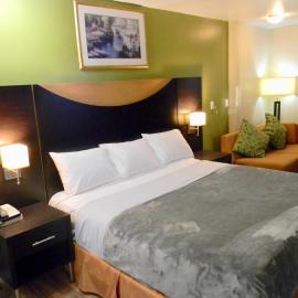 American Plaza Motel, hotel in London