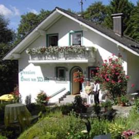 Haus am Wald, hotel in Bayerisch Eisenstein