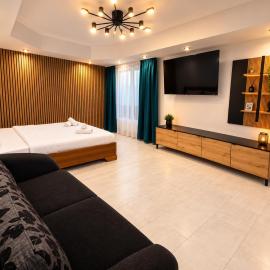 Panoramic Studio