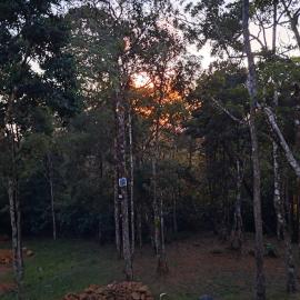 Mount Forestville, Altos de Cerro Azul, hotel v mestu Los Altos de Cerro Azul