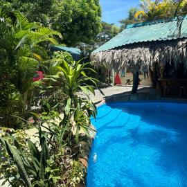 Cahuita Vibe