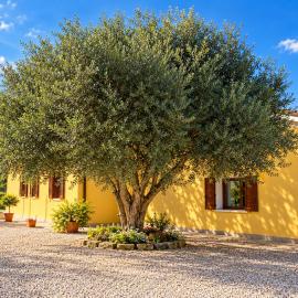 La Corte degli Ulivi - Casa di campagna con parco, viešbutis Feraroje