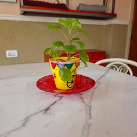 Habitación con baño privado monoambiente bonito