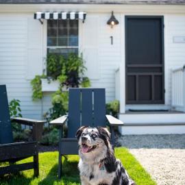 Wanderer Cottages