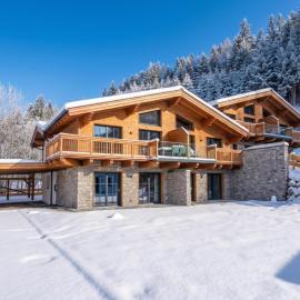 Tauernlodge Eben C1