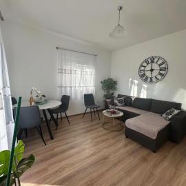 Apartment Guberinic