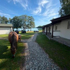 Domki nad Jeziorem Wisola, hotel Ciemnik városában