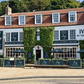 Ivy By The Sea