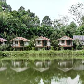Wildnest House
