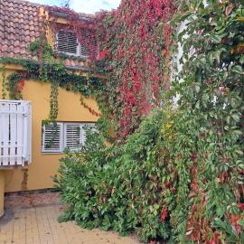 Golden House Apartments