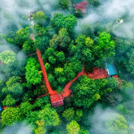 Coorg Humble nest resort Madikeri, Hotel in Suntikoppa