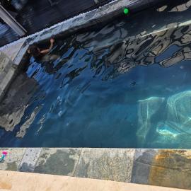 Entre Mer et Volcan ,piscine chauffée au tampon, hotel di Bel Air