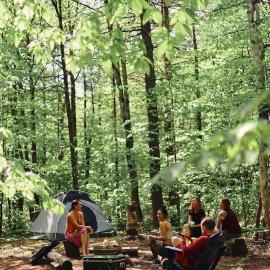 Misty Camp by The Cottage Ambewela - Ultimate Slow Living Experience