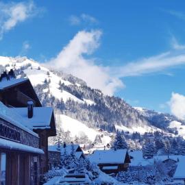 Hôtel de Rougemont Boutique life style, hotel a Gstaad