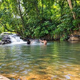 Stream Side