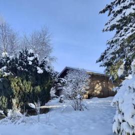 Chalet des Sapins, paisible avec terrasse et jardin