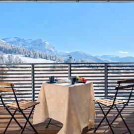 Hostdomus - Ski View