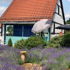 Ferienhaus mit Sauna, Wintergarten, Terrasse im schönen Hochtaunus, ruhige Lage, hotel v destinácii Glashütten